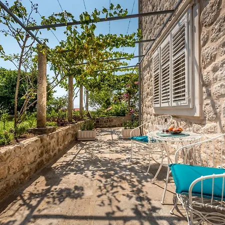 Apartment Old Garden Dubrovnik Exterior photo